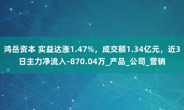 鸿岳资本 实益达涨1.47%，成交额1.34亿元，近3日主力净流入-870.04万_产品_公司_营销