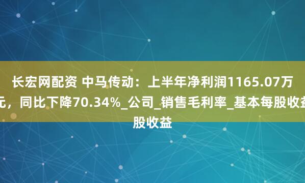 长宏网配资 中马传动：上半年净利润1165.07万元，同比下降70.34%_公司_销售毛利率_基本每股收益