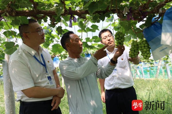 速盈所 普惠金融贷动田间丰收 徐州农商银行深耕地方与乡村共赴振兴路