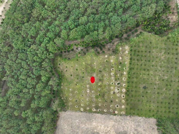 股牛网 考古人员在澄迈县发现美杨窑址 出土大量清代文物