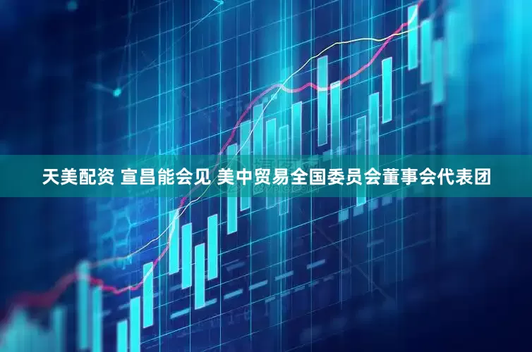 天美配资 宣昌能会见 美中贸易全国委员会董事会代表团